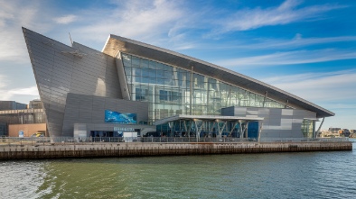 new england aquarium