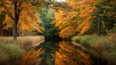 southeastern massachusetts bioreserve